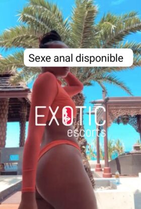 Reine Anale