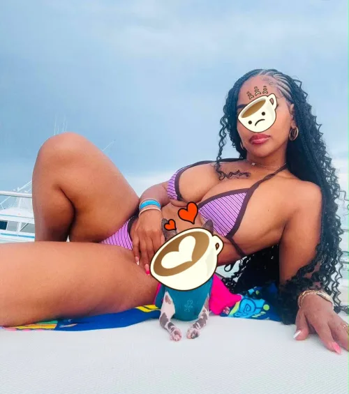 Pussy — 4